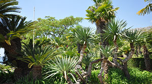 Korkyra Info-Dubrovnik